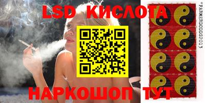 прущие грибы Аргун