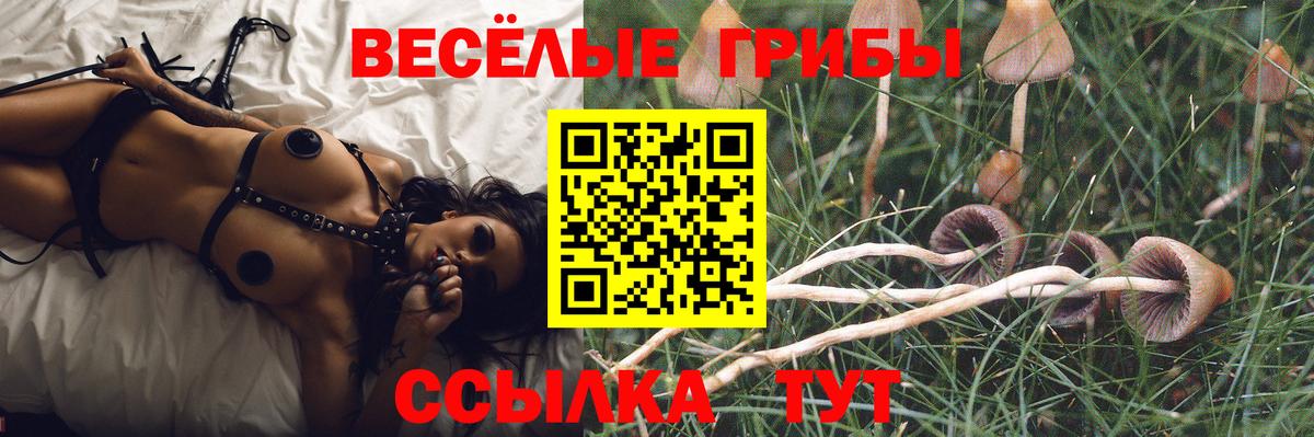 Галлюциногенные грибы Psilocybine cubensis  Вход с VPN  Белогорск 